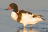 IMG_8643-Edit.jpg