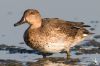 IMG_8705-Edit.jpg