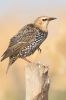 IMG_8808-Edit.jpg