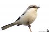 IMG_8878-Edit-1.jpg
