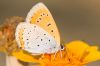 IMG_8933A-Edit.jpg