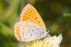 IMG_8944-Edit.jpg