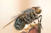 IMG_9026-Edit-mic.jpg