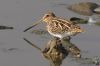 IMG_9165-Edit.jpg