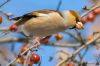 IMG_9768-Edit.jpg