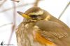 IMG_9929-Edit-2.jpg