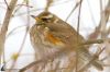 IMG_9929-Edit.jpg