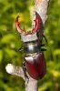 _MG_0014-Edit.jpg