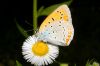 _MG_0026-Edit.jpg