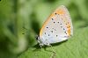 _MG_0044-Edit.jpg