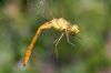 _MG_0099-Edit.jpg