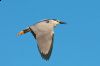 _MG_0200-Edit.jpg