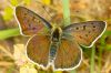 _MG_0400w.jpg