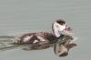 _MG_0518-Edit-Edit.jpg