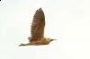 _MG_0579-Edit-Edit.jpg