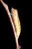 _MG_0614-Edit.jpg