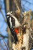 _MG_0679-Edit~0.jpg