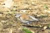 _MG_0784-Edit-Edit.jpg
