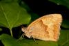 _MG_0861-Edit.jpg