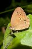 _MG_0901-Edit.jpg
