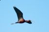 _MG_1519-Edit.jpg