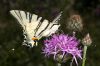 _MG_1541-Edit.jpg