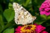 _MG_1719-Edit.jpg