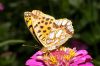 _MG_1726-Edit.jpg