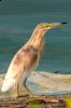 _MG_3220-Edit-Edit-Edit.jpg