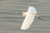 _MG_3258-Edit.jpg