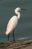 _MG_3287-Edit.jpg