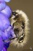_MG_3335.jpg