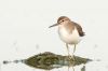 _MG_3613-Edit.jpg