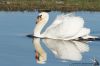 _MG_3659w.jpg