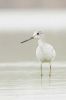 _MG_3717-Edit.jpg