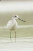 _MG_3718-Edit.jpg