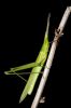 _MG_3792-Edit.jpg