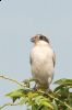 _MG_3924-Edit.jpg