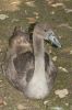 _MG_4108-Edit~0.jpg