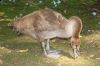 _MG_4114-Edit.jpg