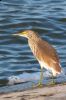 _MG_4666-Edit.jpg