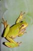 _MG_4890-Edit.jpg