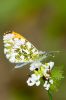 _MG_5216w.jpg