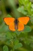 _MG_5257-Edit-2.jpg