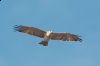 _MG_5457-Edit.jpg