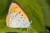_MG_5583.jpg