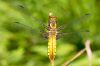 _MG_5979w.jpg