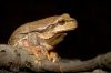 _MG_6923-Edit.jpg