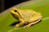 _MG_6950-Edit-Edit.jpg