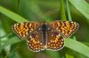 _MG_7280-Edit.jpg